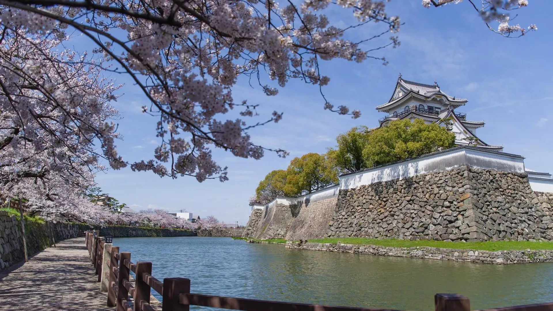 Namba Shinsaibashi 10 Mins Osaka Castle　East Lägenhet